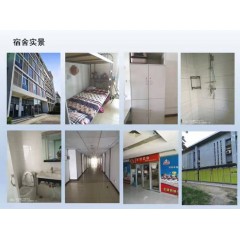 北京電子廠  招聘  女158以上，男165以上，年齡16-40歲