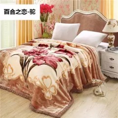 雙層加厚毛毯蓋毯春秋冬季毛毯婚慶單雙人學(xué)生午睡毛毯