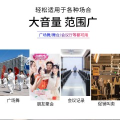 手提話筒音響 迷你低音炮 無(wú)線藍(lán)牙音箱 戶外便攜廣場(chǎng)舞