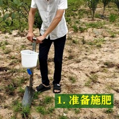 農用工具 果樹施肥神器 硬地追肥槍 人工鐵鍬撒化肥 果園小型農業(yè)機械